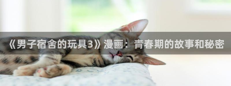 男男51漫画在线观看：《男子宿舍的玩具3》漫画：青春期的故事和秘密