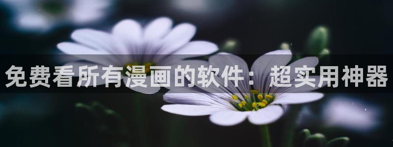51漫画免费网站推荐：免费看所有漫画的软件：超实用神器