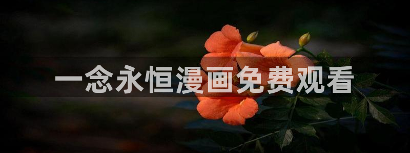 51漫画羞羞漫画观看入口：一念永恒漫画免费观看