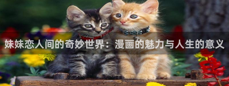 看51漫画有什么免费的：妹妹恋人间的奇妙世界：漫画的魅力与人生的意义