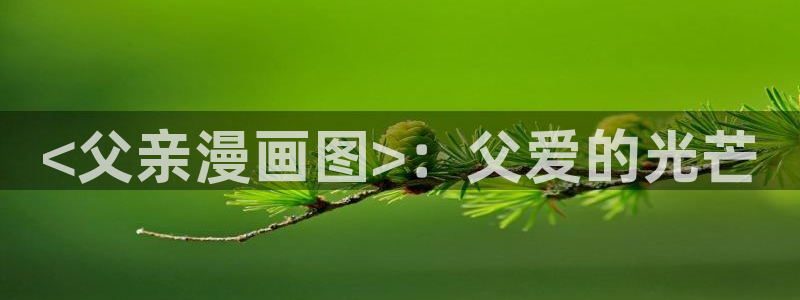 51漫画咔咔漫画免费观看：<父亲漫画图>：父爱的光芒