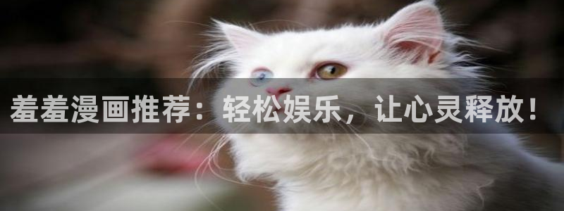 日本漫画51漫画画大全：羞羞漫画推荐：轻松娱乐，让心灵释放！