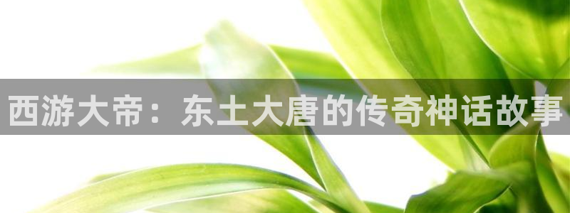 看51漫画大全：西游大帝：东土大唐的传奇神话故事