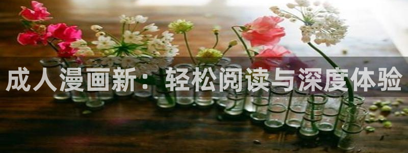 五号公寓51漫画画免费观看：成人漫画新：轻松阅读与深度体验