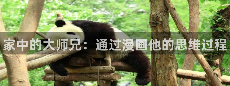 av51漫画在线免费观看：家中的大师兄：通过漫画他的思维过程
